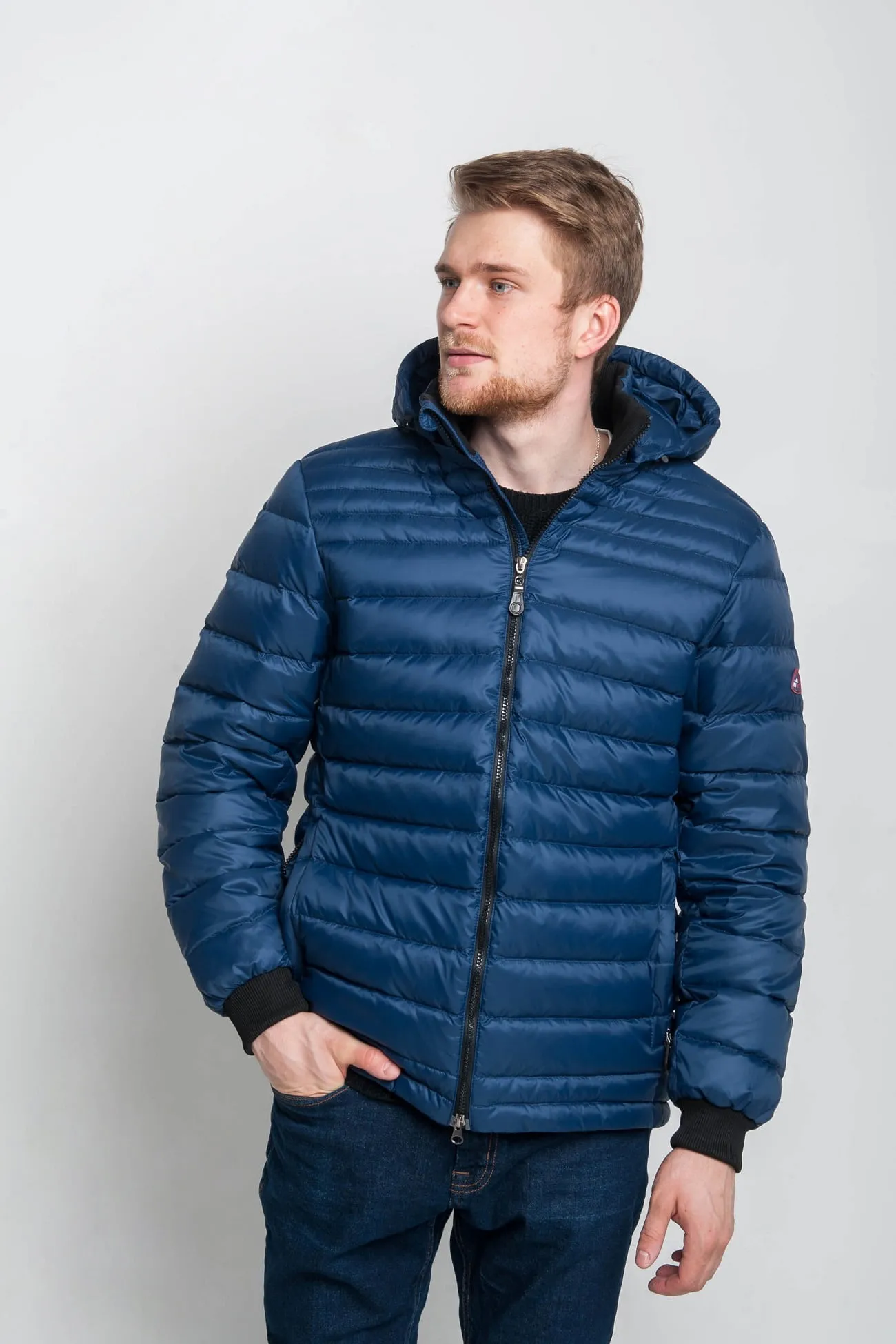 Честер Синий  (2)-min